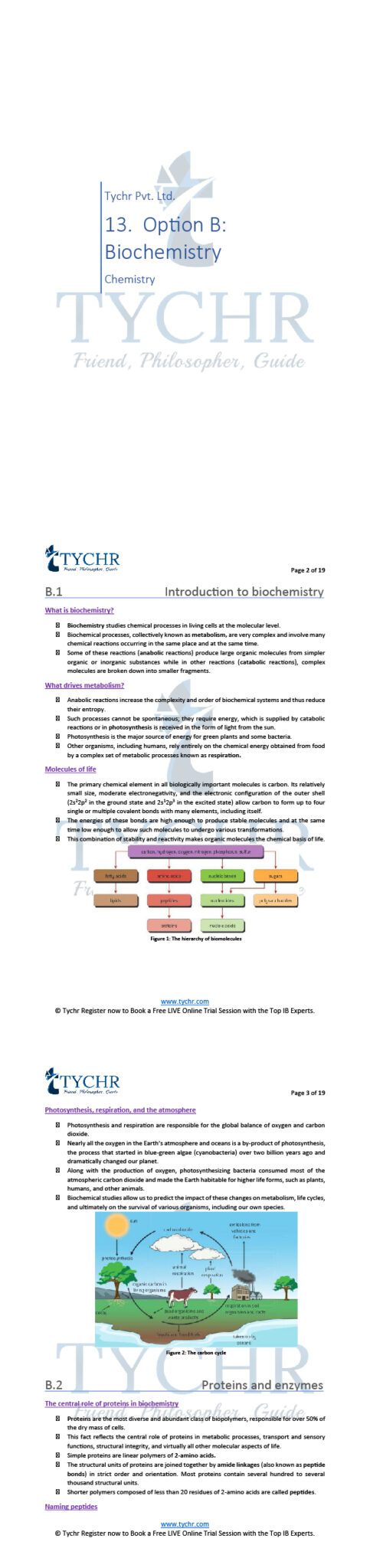 IB Chemistry | Option B Biochemistry Notes | TYCHR