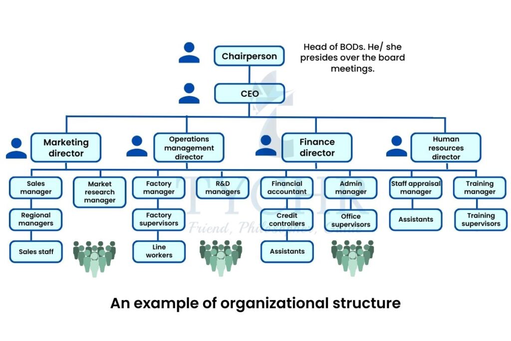 IB Business Management | Organizational Structure Notes | TYCHR