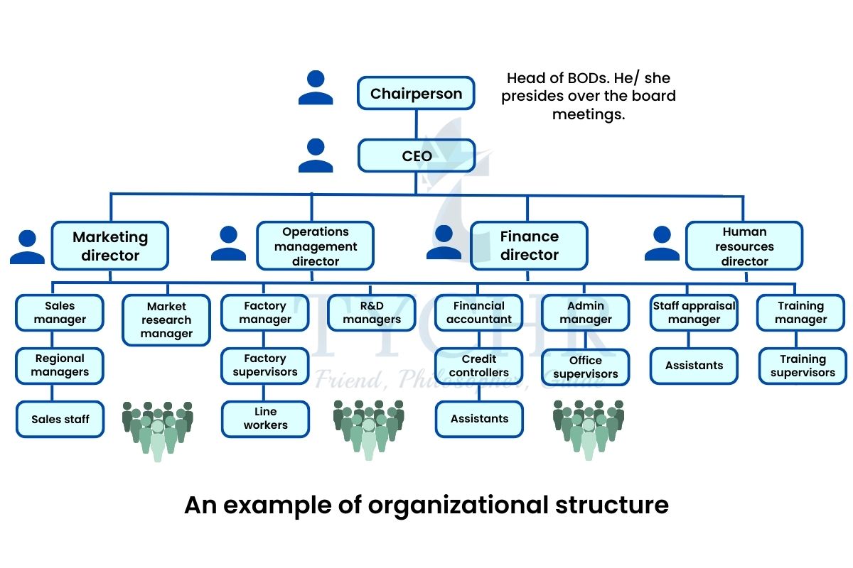 chain of command organizational structure