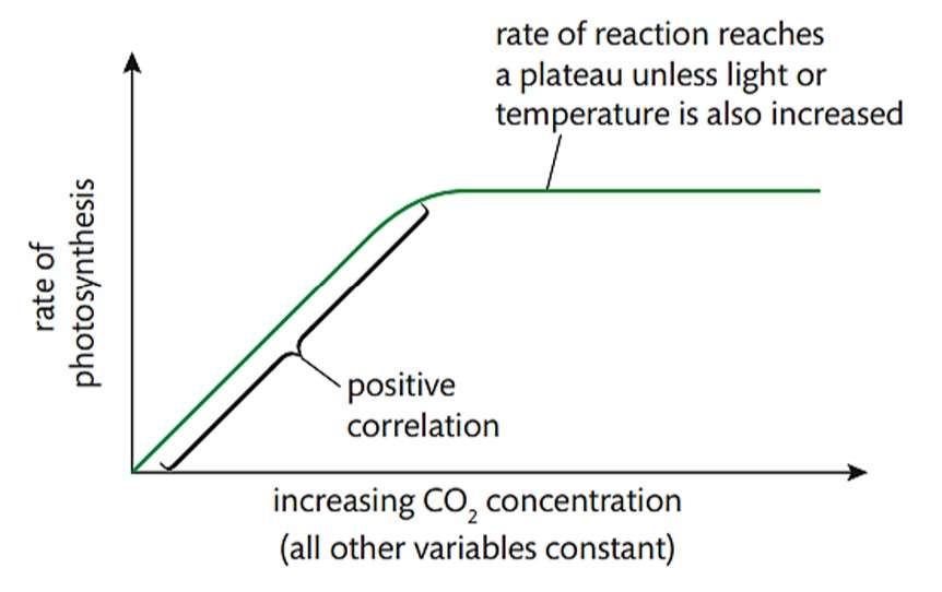 Fig. 2.14 Rate of photosynthesis vs. CO2 concentration