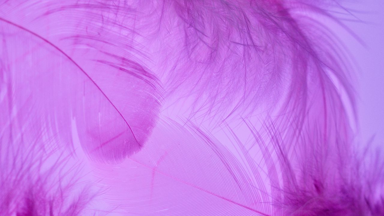 The-Color-Science-of-Purple-Understanding-the-Pigments-That-Make-It-Possible