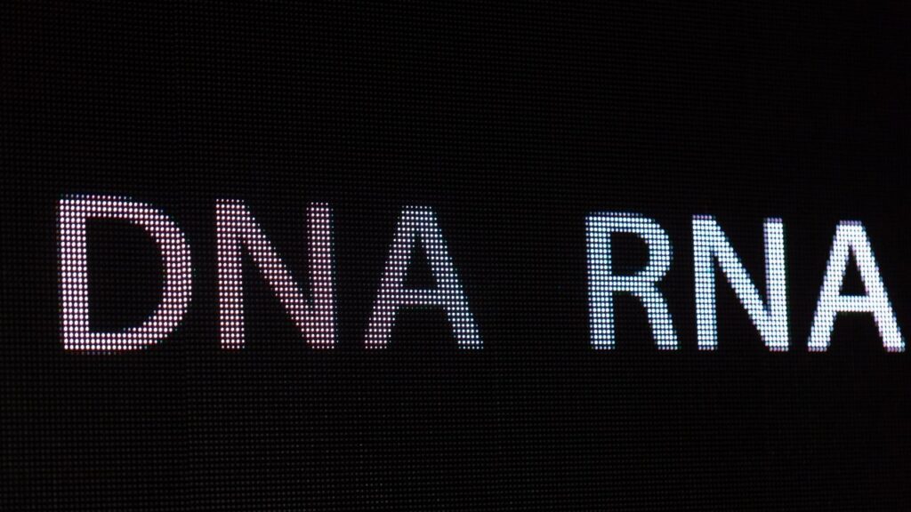 Differences Between DNA and RNA: Unraveling the Molecular Code of Life 