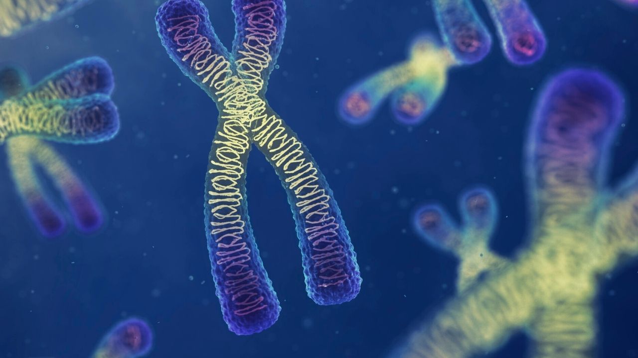 Incomplete Dominance vs. Codominance: Understanding Genetic Inheritance