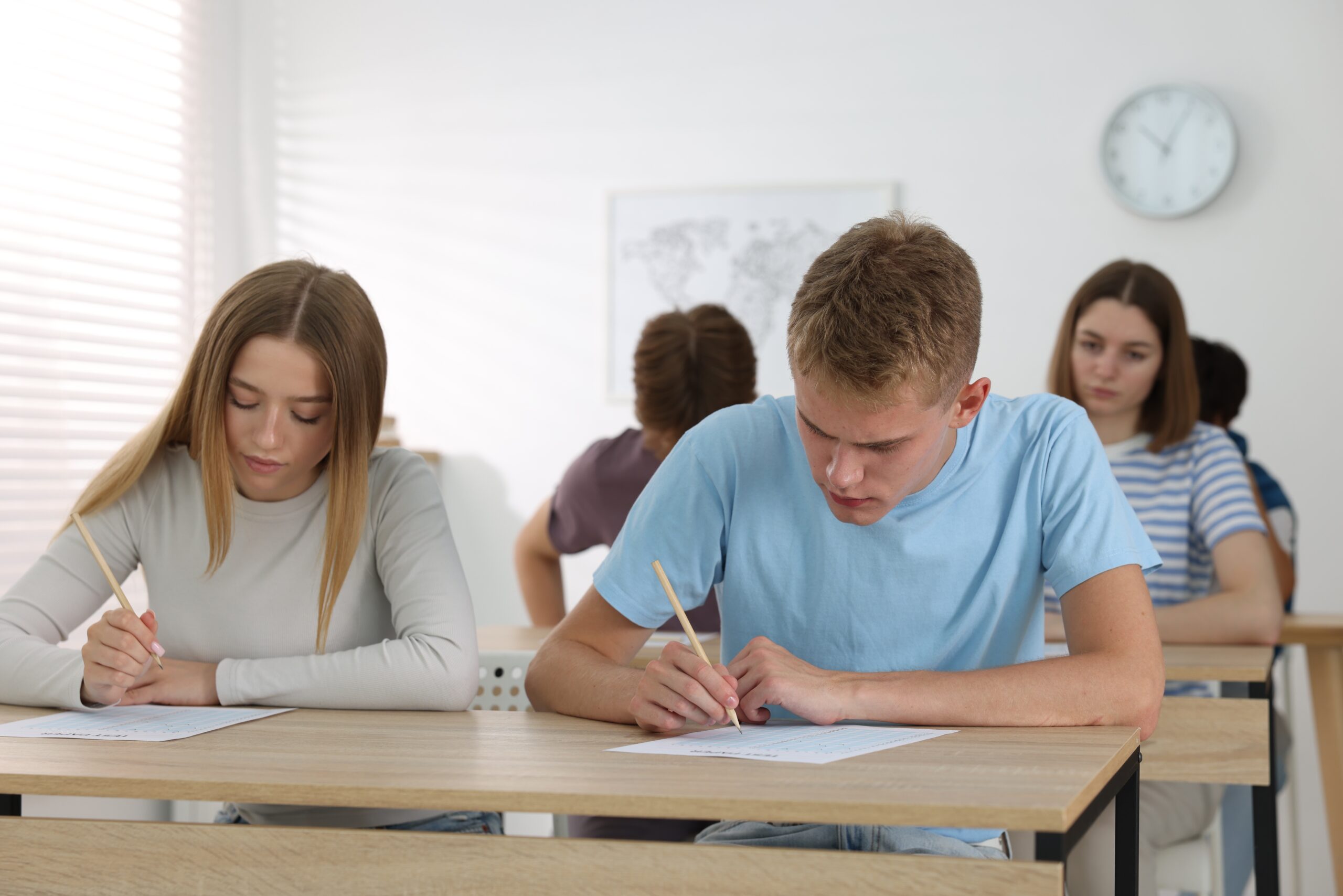 AP Exam Coaching