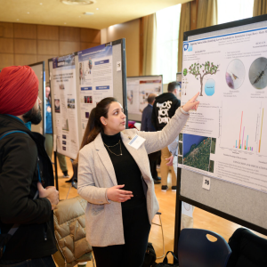 86d6ed4d868be4a959b0bded9dc7e477c133a2c0